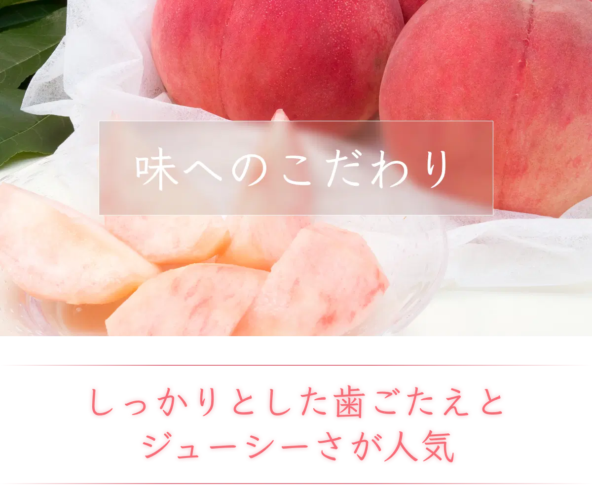 ジューシーで濃厚な甘みと程よい歯ごたえが魅力のあかつき桃