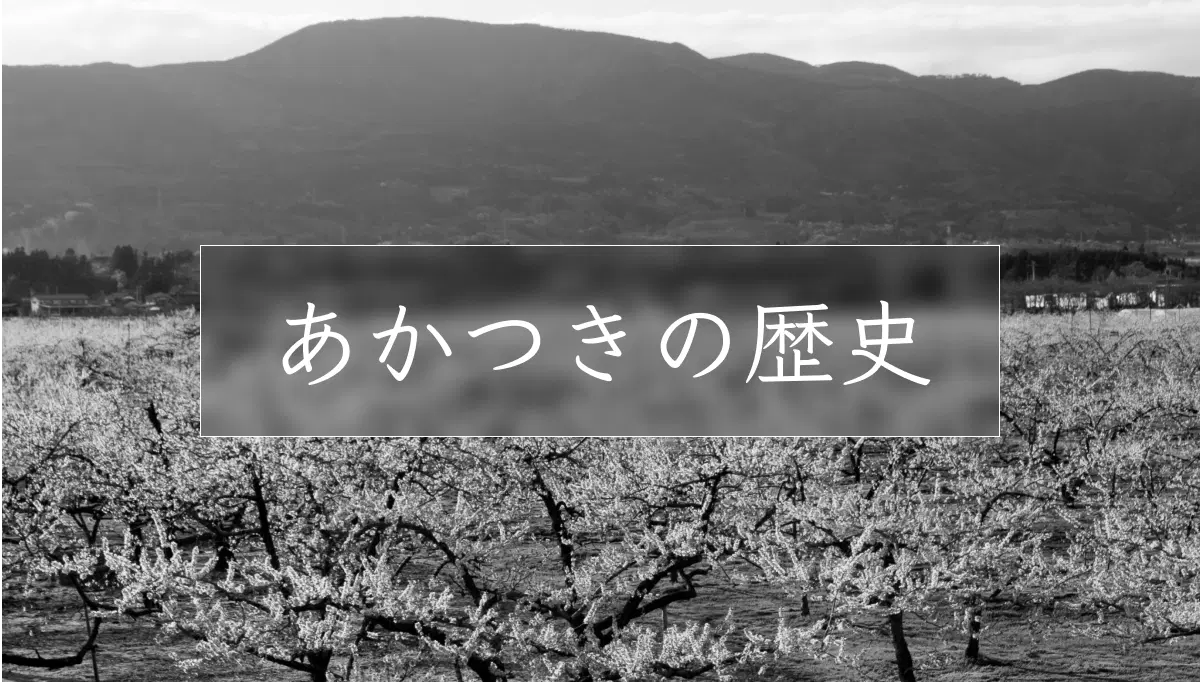 白桃と白鳳を交配して誕生した桃界のサラブレッドあかつき