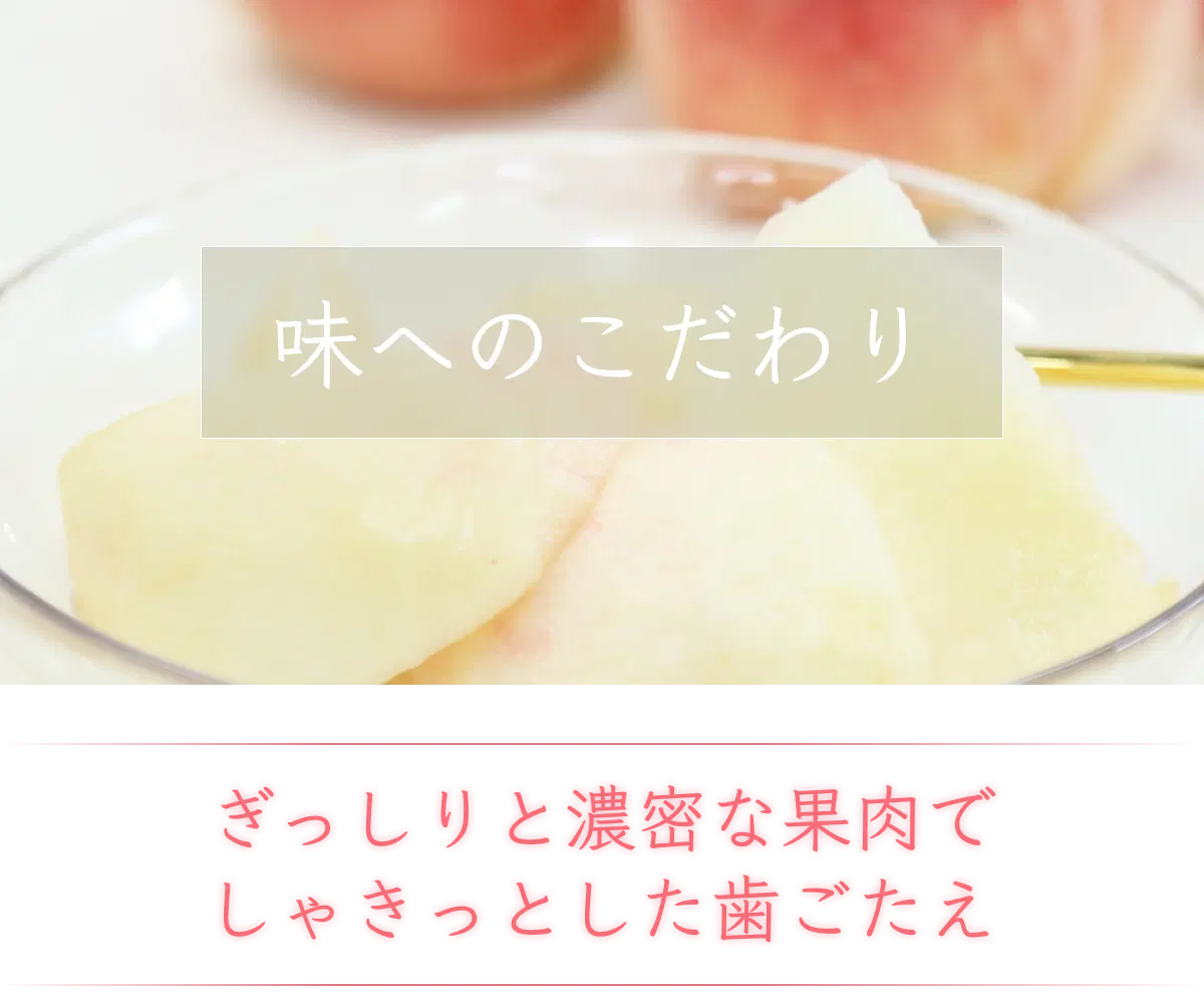 引き締まった肉質で甘みが強い硬め桃のまどか