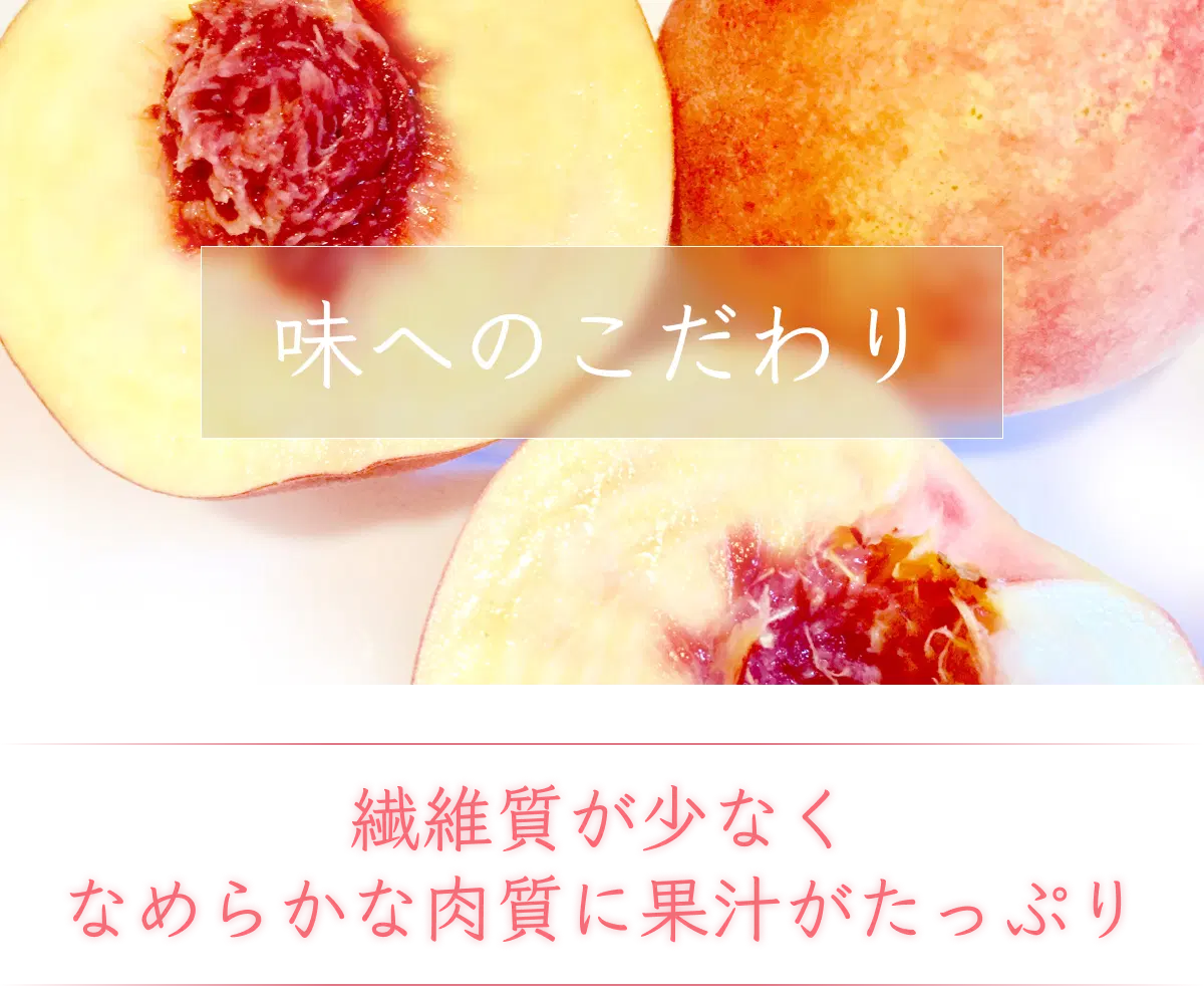 なめらかな肉質に果汁がたっぷりで味の安定感がバツグンな大玉の川中島白桃