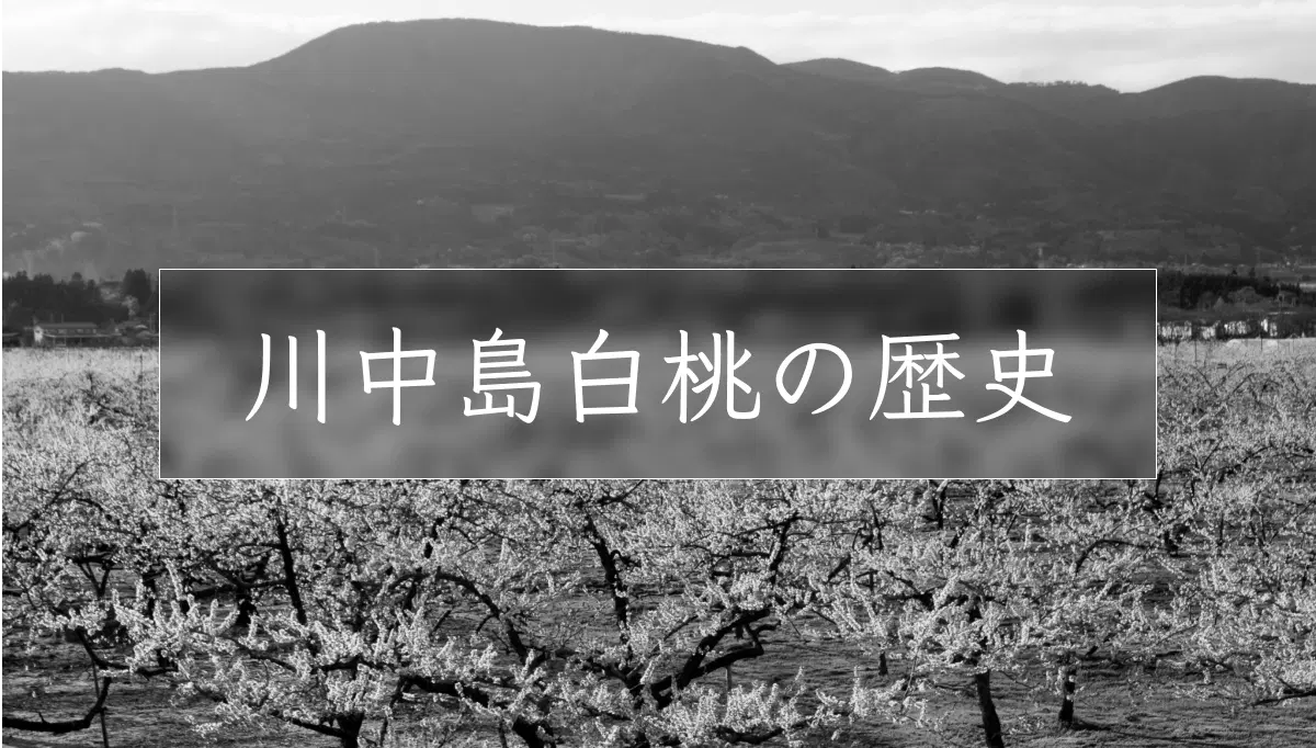 長野県から山梨・福島へと優秀な品種として生産が広がった川中島白桃の歴史
