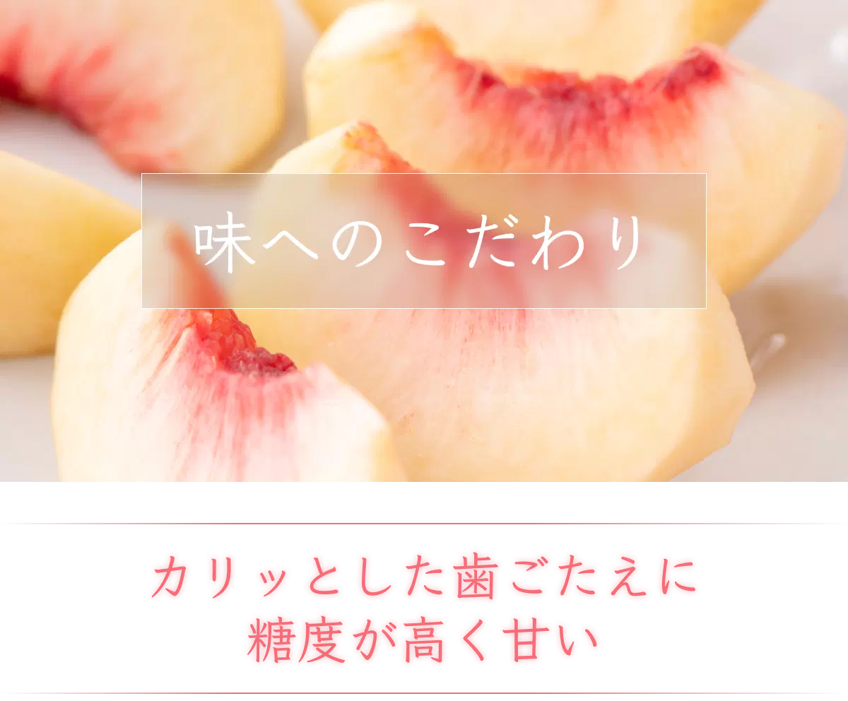 カリッとした抜群の歯ごたえと高い糖度が魅力のさくら白桃
