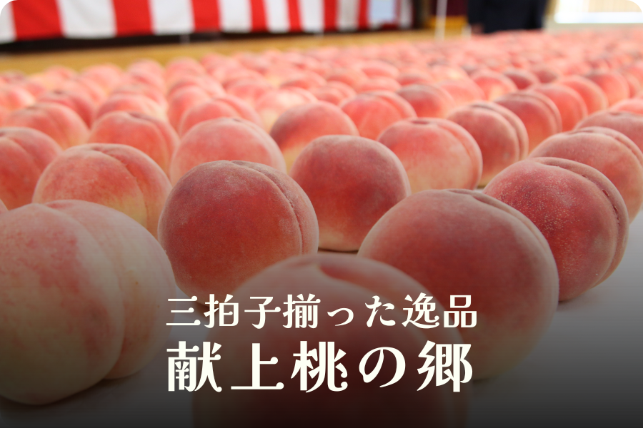 皇室宮家への献上桃の郷・福島県桑折町