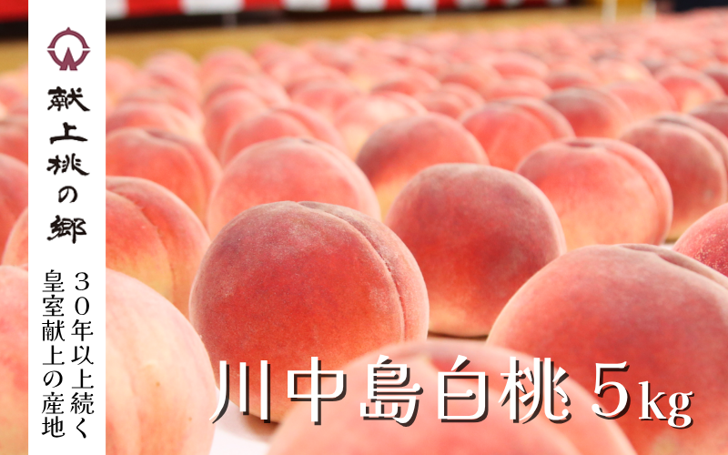 献上桃の郷　川中島白桃　5kg