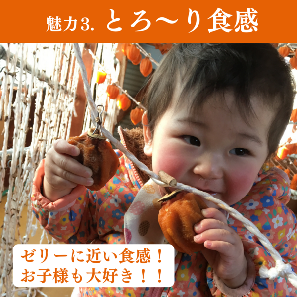 冷凍】伊達のあんぽ柿 （蜂屋柿・パック包装） | 【公式】JA