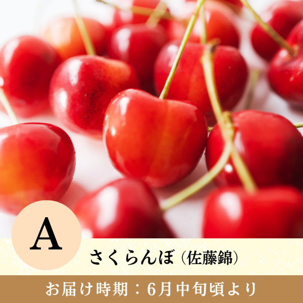 旬のお届けの商品画像 2