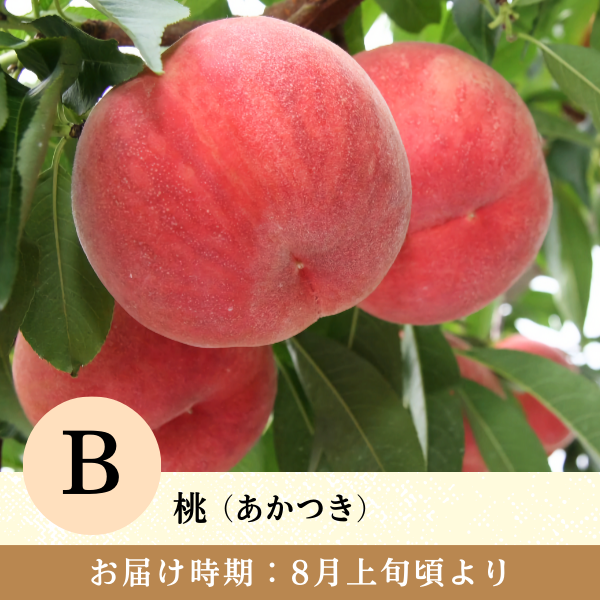 旬のお届けの商品画像 3