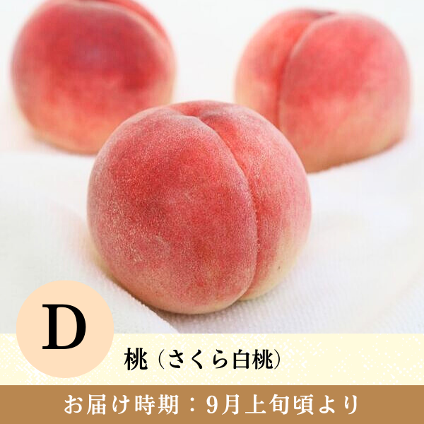 旬のお届けの商品画像 5