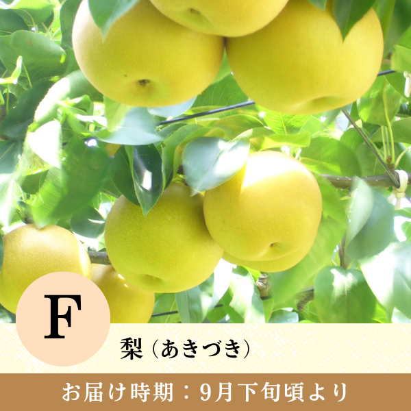 旬のお届け | 【公式】JAふくしま未来のお取り寄せギフト通販