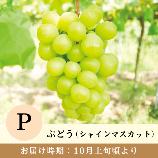 旬のお届け | 【公式】JAふくしま未来のお取り寄せギフト通販