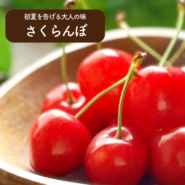 「ふるさと会」果物コース(2回・5回)の商品画像 2
