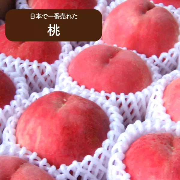 「ふるさと会」果物コース(2回・5回)の商品画像 3