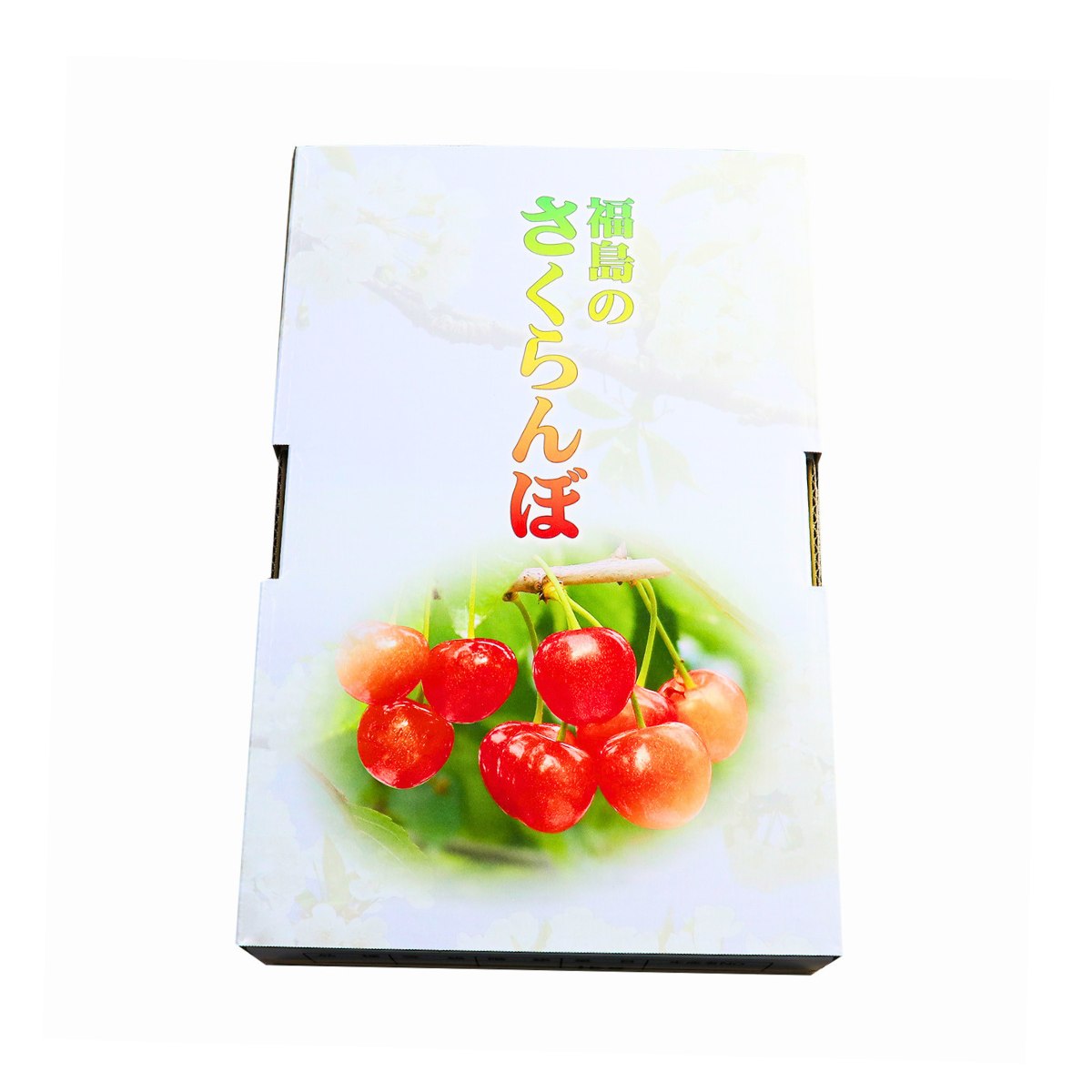 Amazon | 2603 【日本製】日産 SAKURA サクラ 電源取り出し