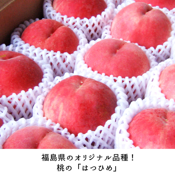 特秀品】はつひめ（福島の早生桃） | 【公式】JAふくしま未来の