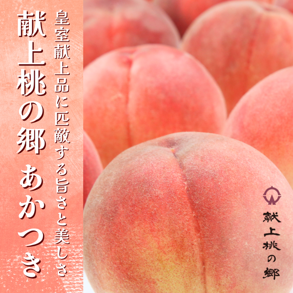献上桃の郷 あかつき 3kg | 【公式】JAふくしま未来のお取り寄せギフト通販