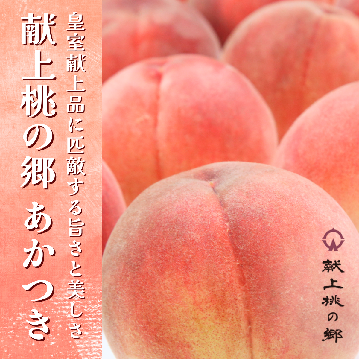 献上桃の郷 あかつき 3kg | 【公式】JAふくしま未来のお取り寄せギフト通販