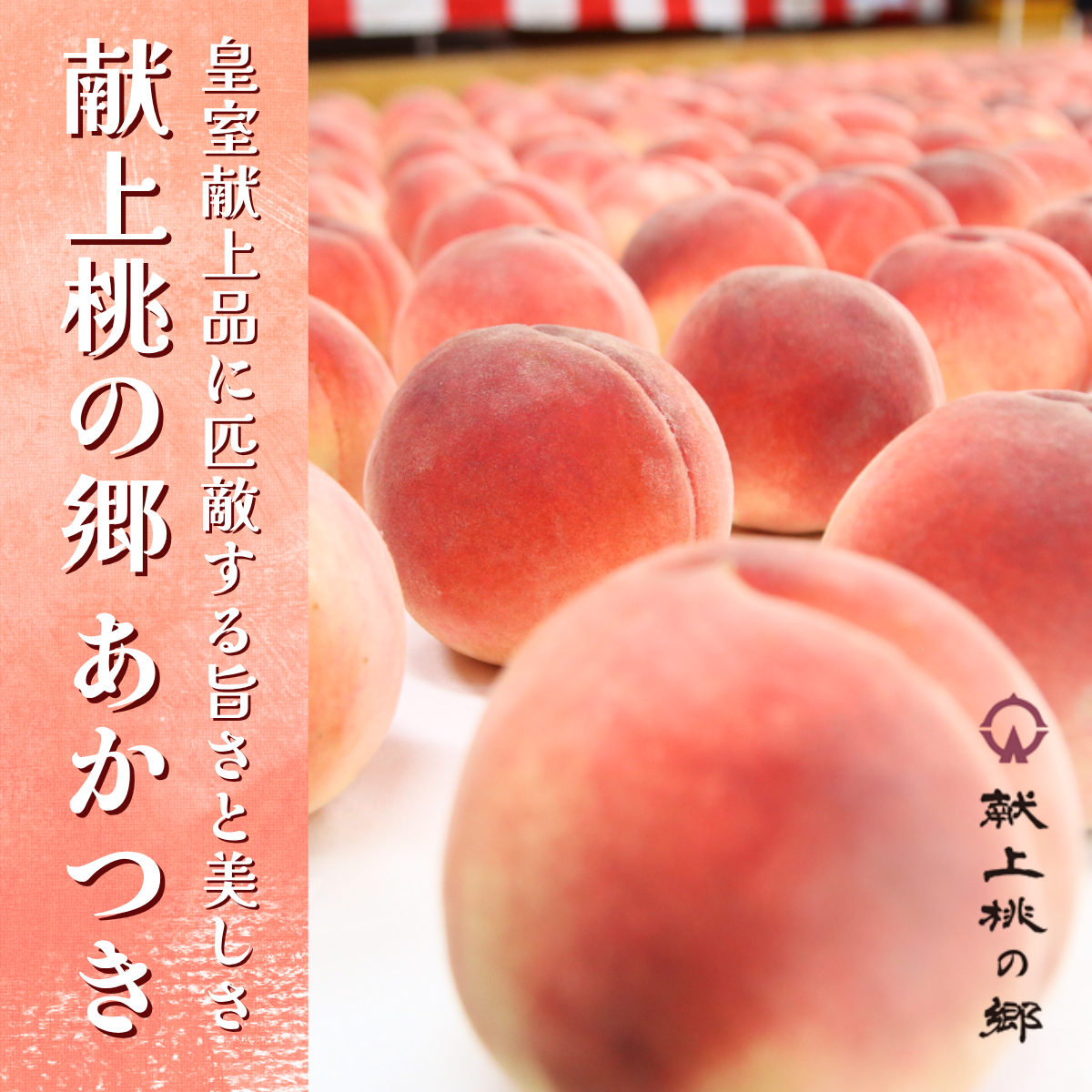 献上桃の郷 あかつき 5kg | 【公式】JAふくしま未来のお取り寄せ