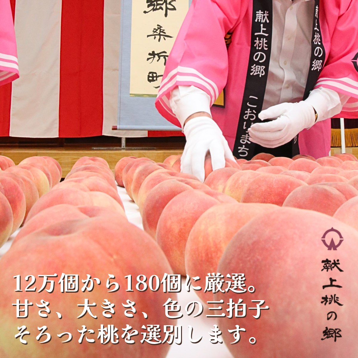 献上桃の郷　あかつき　5kgの商品画像 3