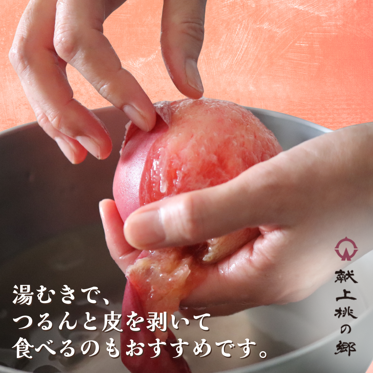 献上桃の郷　あかつき　5kgの商品画像 7