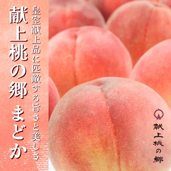 FRUITS　no95-98 福島県桑折町 献上桃の郷・まどか 3kg | 【公式】JAふくしま未来のお