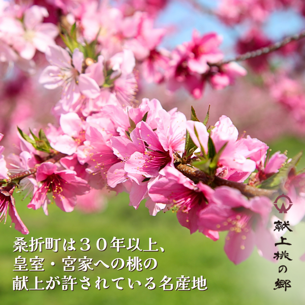 福島県桑折町 献上桃の郷・まどか 3kg | 【公式】JAふくしま未来のお