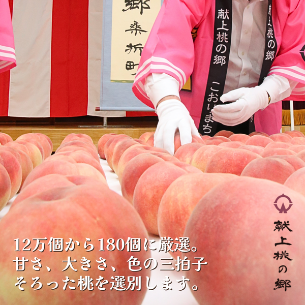 のびたえさん専用出品 福島県桑折町 献上桃の郷・まどか 5kg | 【公式】JAふくしま未来のお