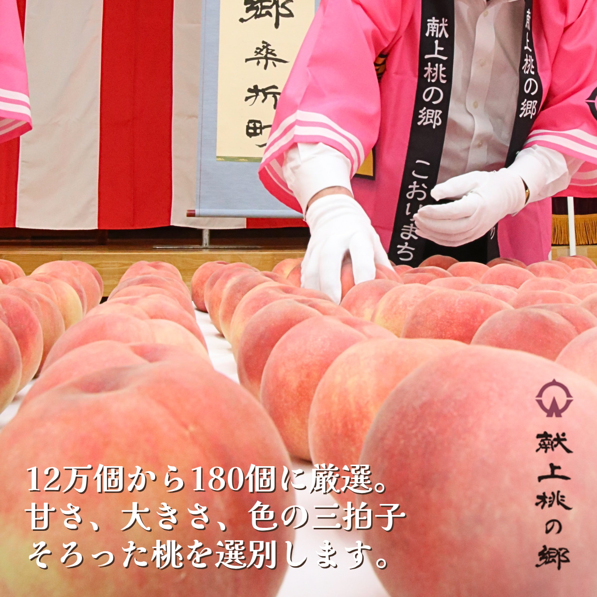 【福島県産】【桃】【まどか】5kg(15個)×1【贈答用】 福島県桑折町 献上桃の郷・まどか 5kg | 【公式】JAふくしま未来のお