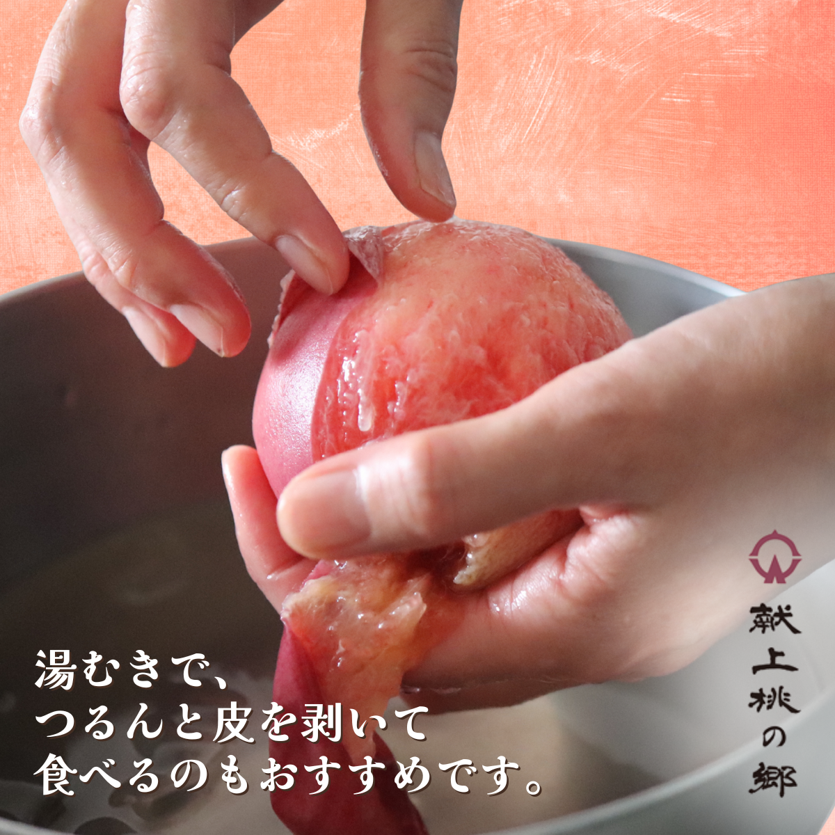 献上桃の郷　川中島白桃　5kgの商品画像 7