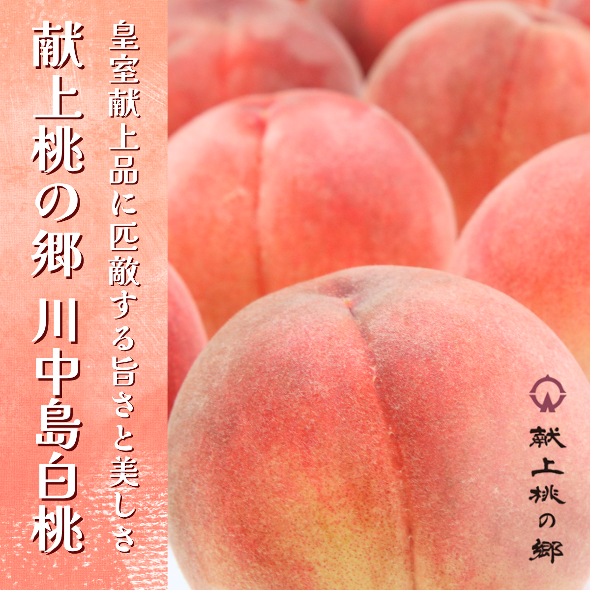 福島県桑折町 献上桃の郷・川中島白桃 3kg | 【公式】JAふくしま未来の 