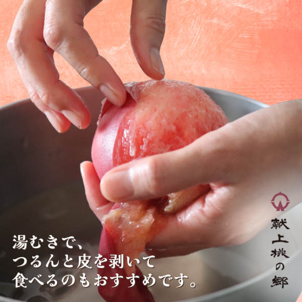 福島県桑折町 献上桃の郷・川中島白桃 3kg | 【公式】JAふくしま未来の