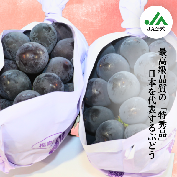 特秀品】種なしピオーネ 2房 約1kg | 【公式】JAふくしま未来のお