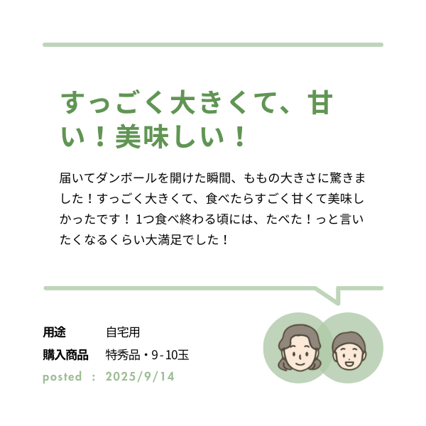 献上桃の郷　あかつき　5kgの商品画像 5