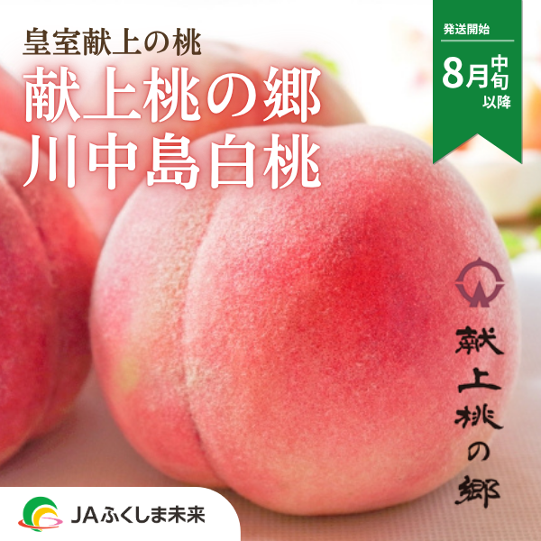 福島県桑折町 献上桃の郷・川中島白桃　3kg