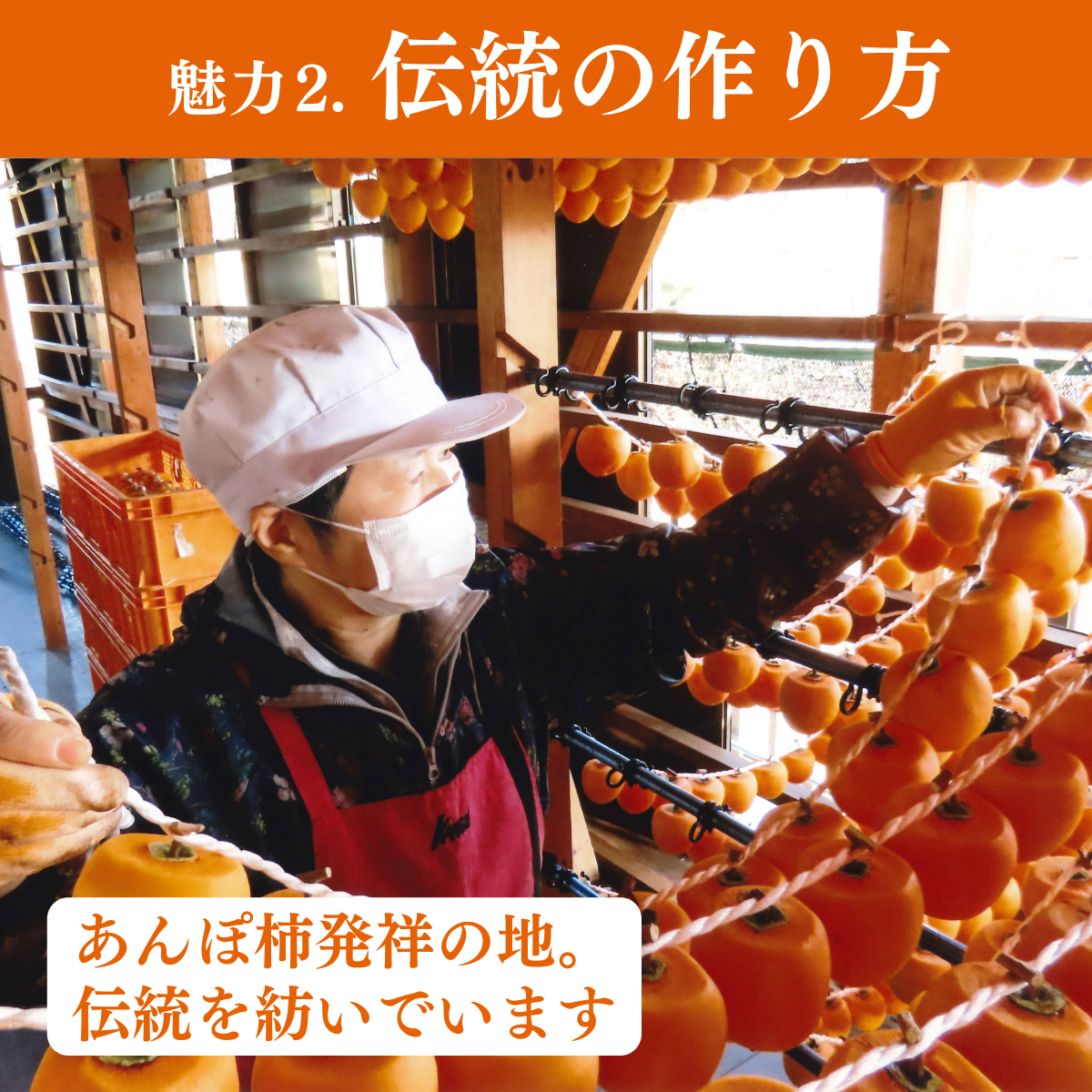 年内】JAおすすめ！伊達のあんぽ柿（黒化粧箱） | 【公式】JAふくしま