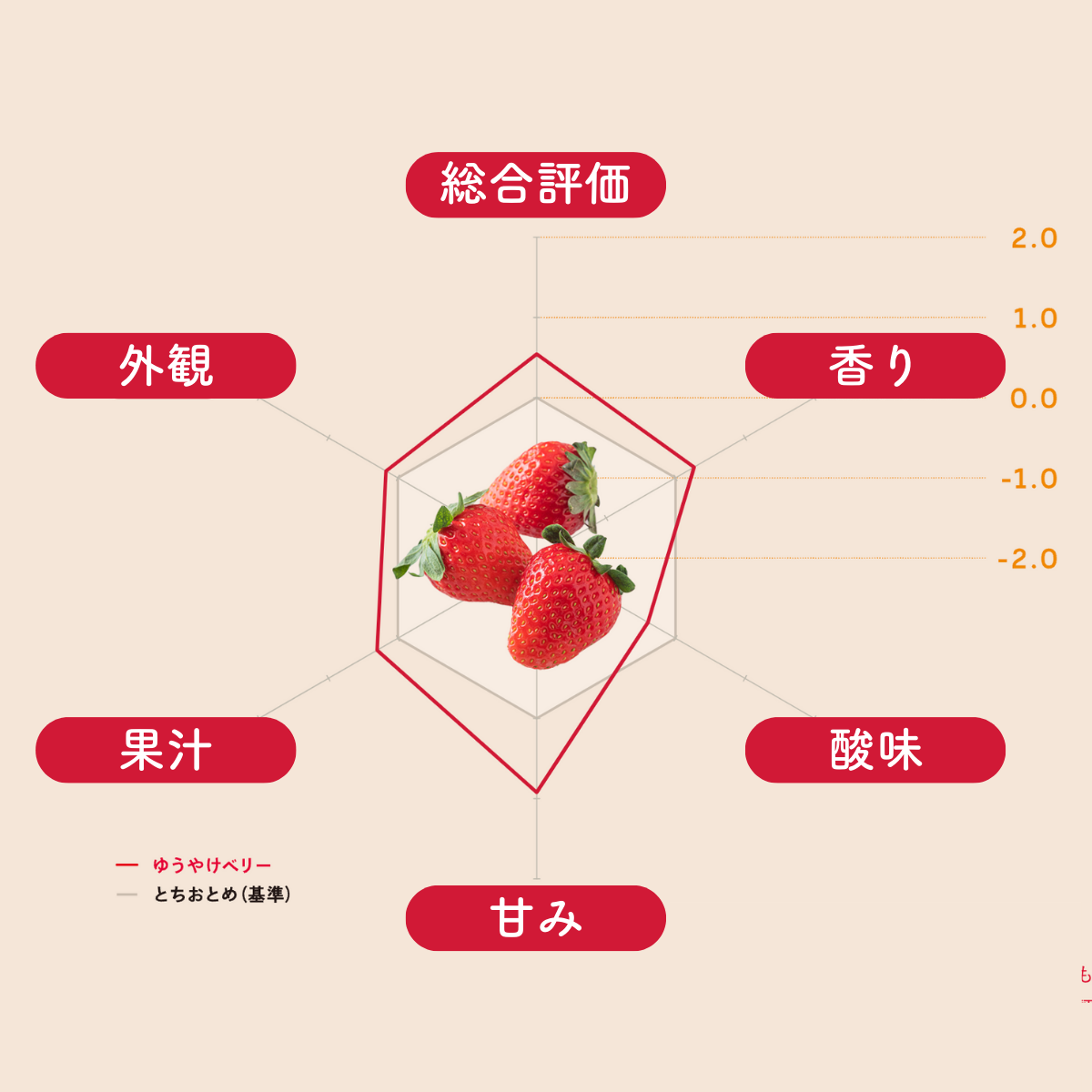 取引中】?いちごさん10P＆?ゆうやけベリー20Pでのまとめ割セット