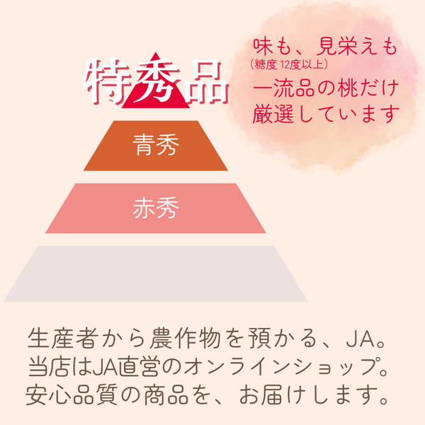 特秀品】あかつき桃 - 福島ももの王道 | 【公式】JAふくしま未来のお