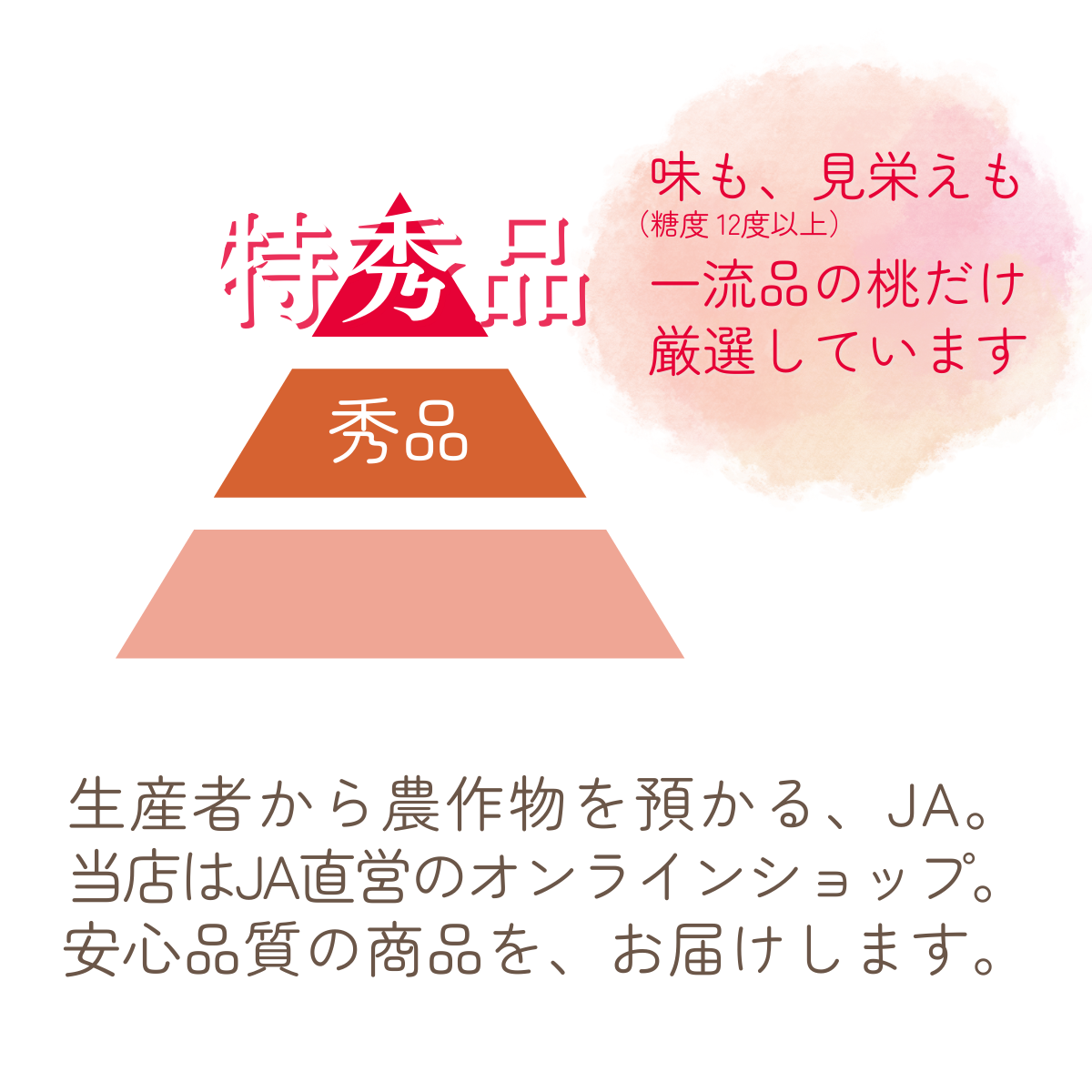 【福島県産】【桃】【まどか】5kg(15個)×1【贈答用】 福島県桑折町 献上桃の郷・まどか 5kg | 【公式】JAふくしま未来のお