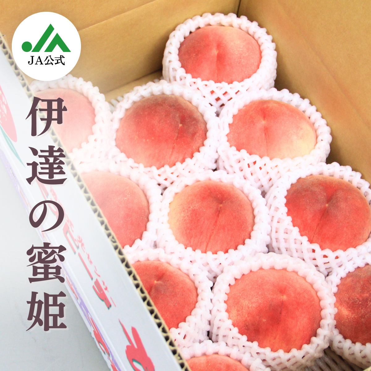 P.A.shots!! Extra -笑門来福-（BOX） – pattythree公式通販サイト