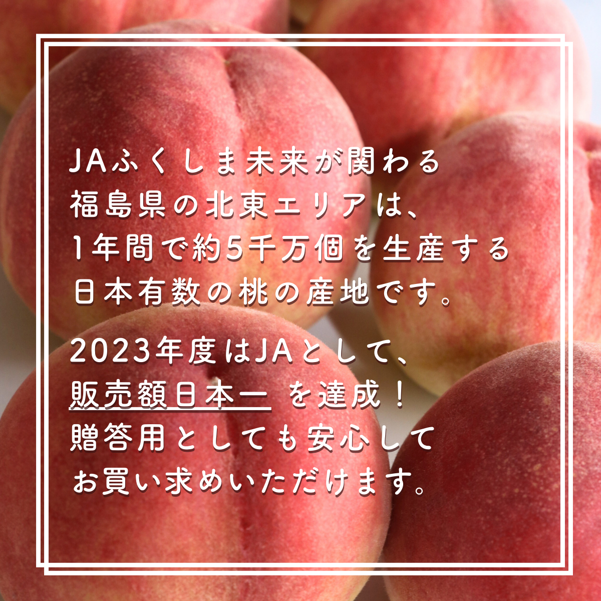 福島の旬の桃 - らきもも箱 | 【公式】JAふくしま未来のお