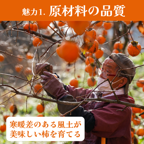 年内】優良農家がつくる伊達のあんぽ柿（個包装） | 【公式】JA