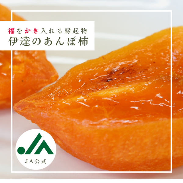 希少 非売本　和歌山縣聖蹟　上下巻 輝山 - 徳間書店