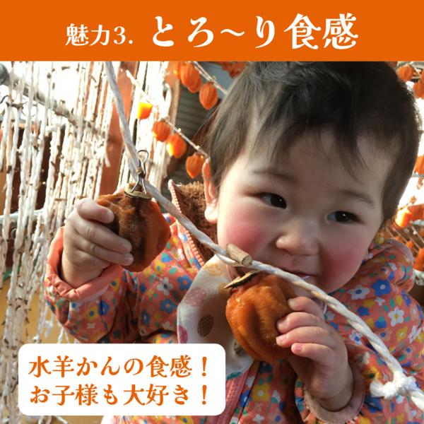 伊達のあんぽ柿（個包装・優良農家） | 【公式】JAふくしま未来のお